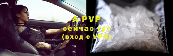 стафф Нефтекумск