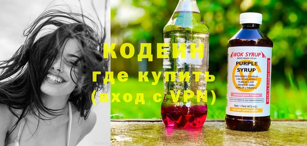 молекула духа Арсеньев