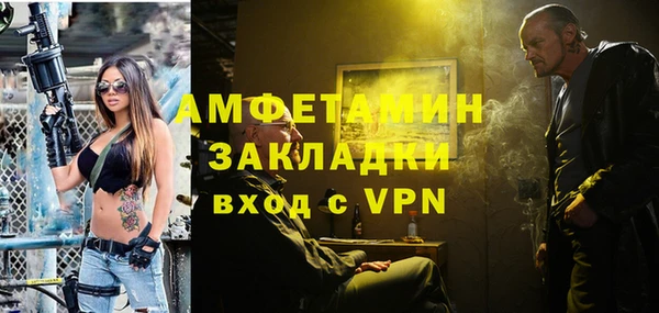 молекула духа Арсеньев