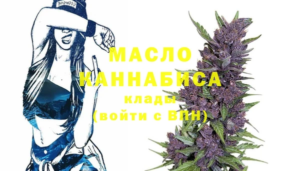 молекула духа Арсеньев