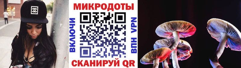 Галлюциногенные грибы Psilocybine cubensis  купить   KRAKEN   Спасск 