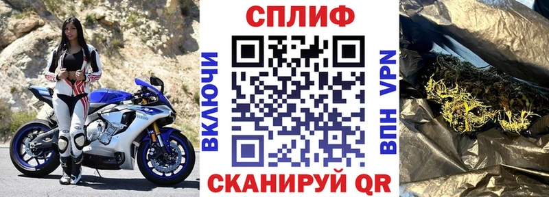 Марихуана план  Спасск 